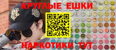 2c-b Кингисепп