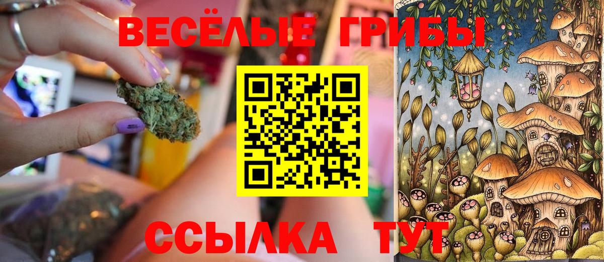 Галлюциногенные грибы мухоморы  Вход с VPN  наркошоп  Гусев 